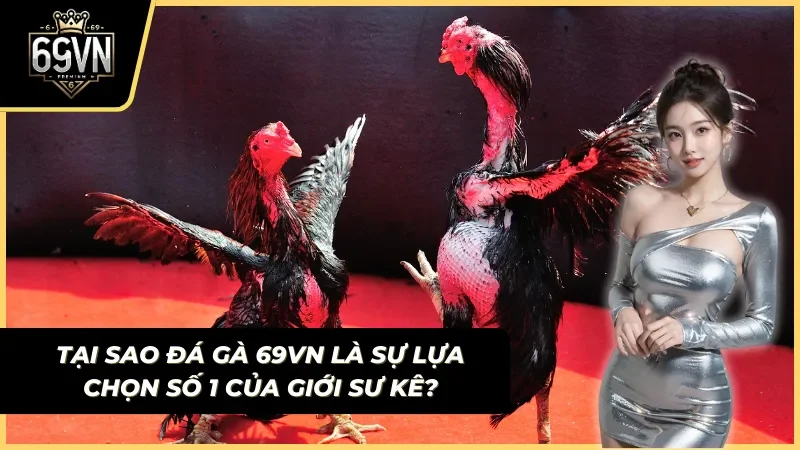 đá gà 69vn trực tiếp thomo cửa sắt cửa dao đỉnh cao