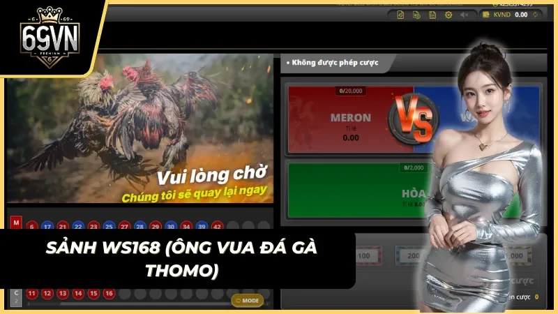 hướng dẫn đọc bảng kèo đá gà thomo tại sảnh ws168 69vn