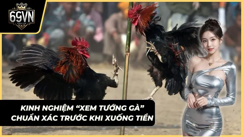 kinh nghiệm xem màu mạng gà đá phong thủy chuẩn xác